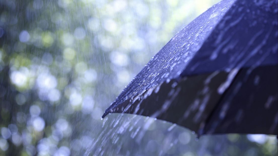 Regenton kopen in het voorjaar of wachten tot de zomer?