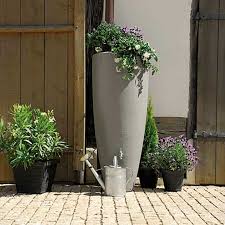 Regenton met planten: zo maak je van je regenton de ster van de tuin 🌿