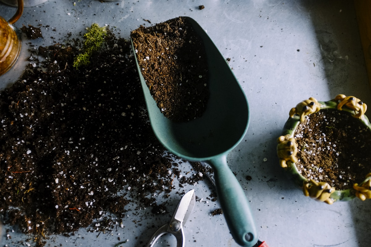 Groene tuin met planten die water krijgen uit een regenton